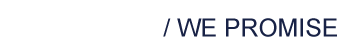 我们承诺